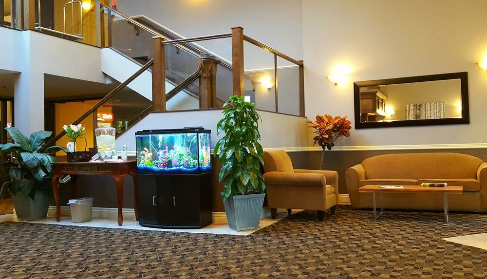 Quality Inn Kamloops Exterior photo
